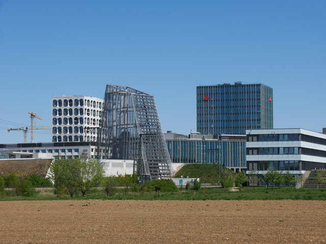 P1080480.jpg