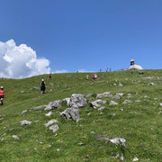 IMG 2745