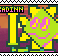 floradinn