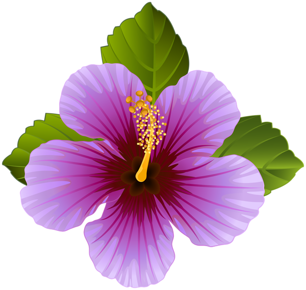 pngwing com (14).png