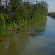 DSCF8992