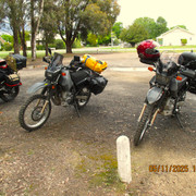 IMG 0004