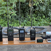 IMG-0310