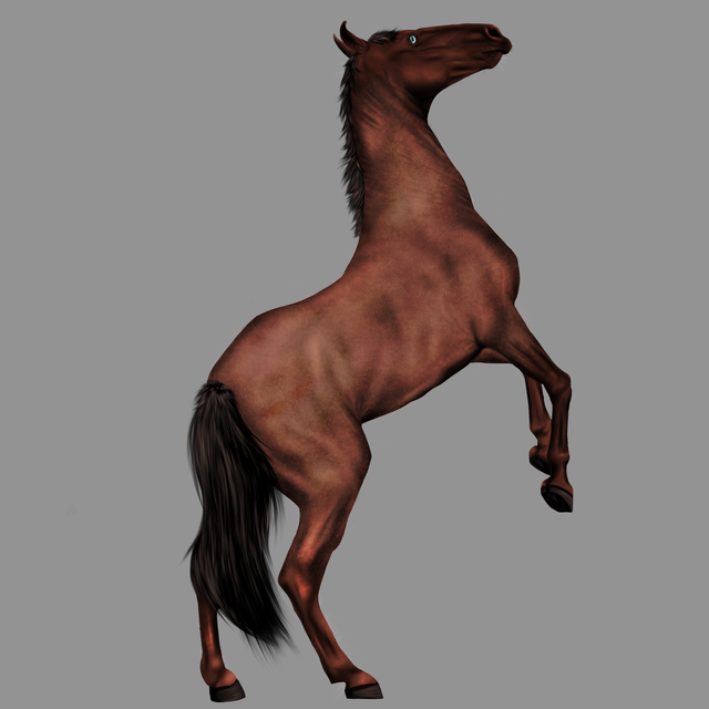 Body 20261001143559.png