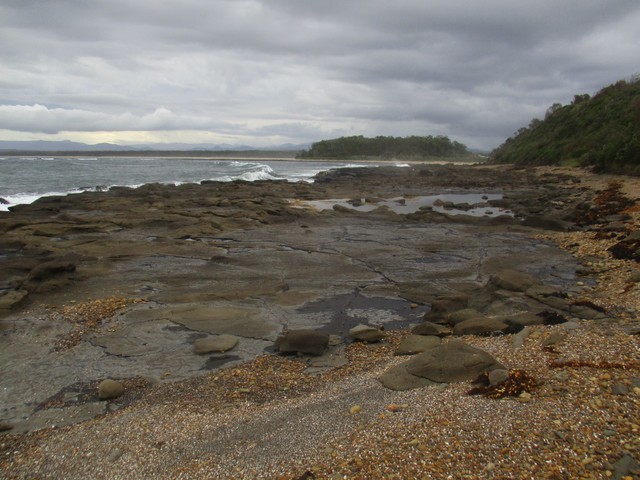 IMG-8370