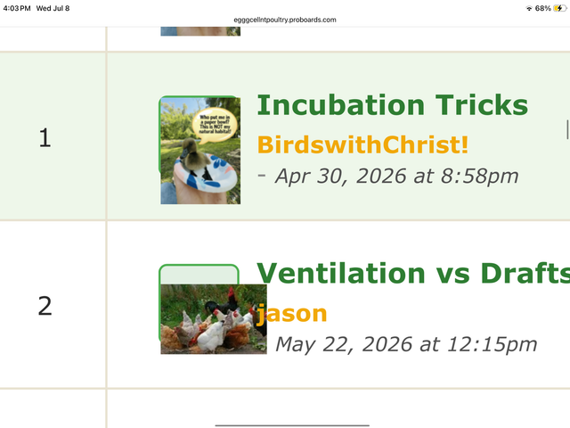 IMG 1954.png