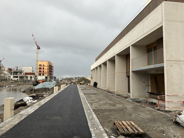 IMG-1733