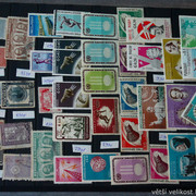 IMG-6840