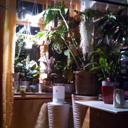 IMG-20220921-200744
