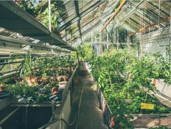 smart-farm