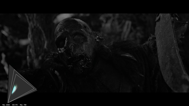 gamut-LOTR20065