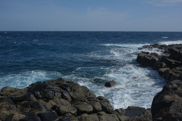 DSCF8178