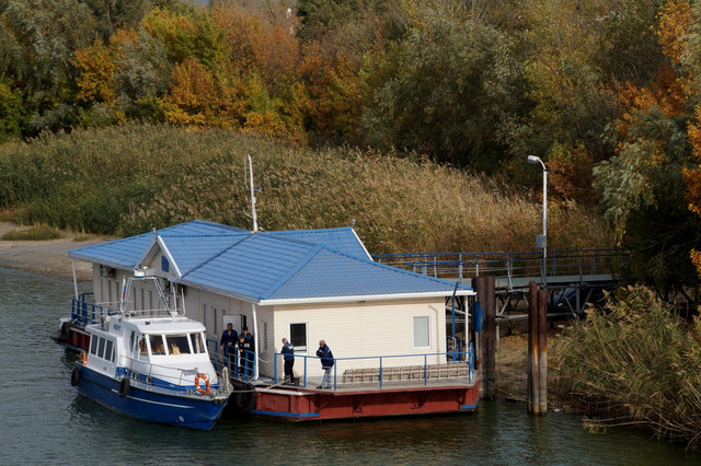 DSC08170.jpg