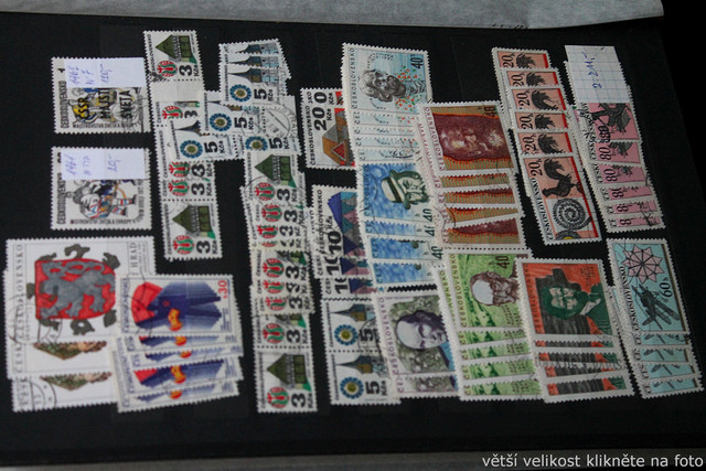 IMG-7031.jpg