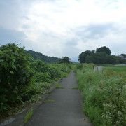 P1330294