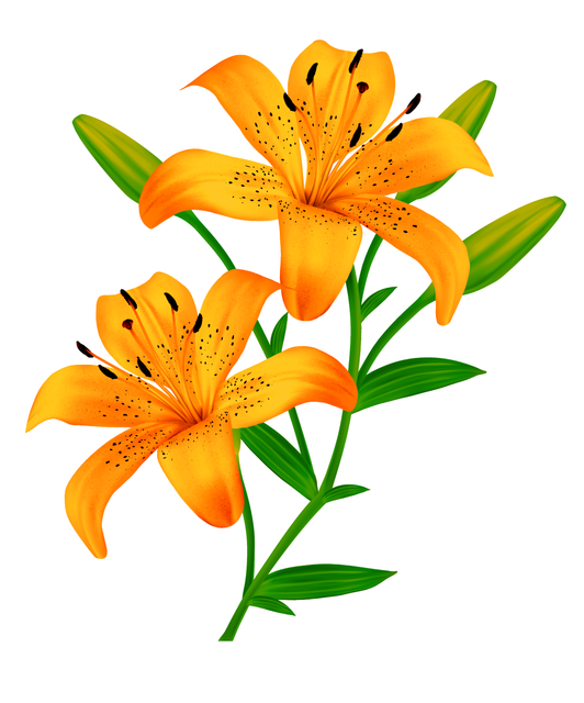 2734dde26528e38d5147a43cb390d819.png