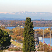 IMG-3346
