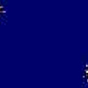 blue19