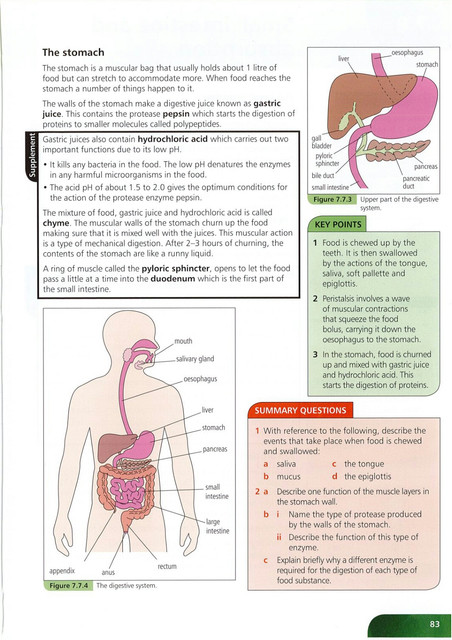 87 Essential Biology for IGCSE