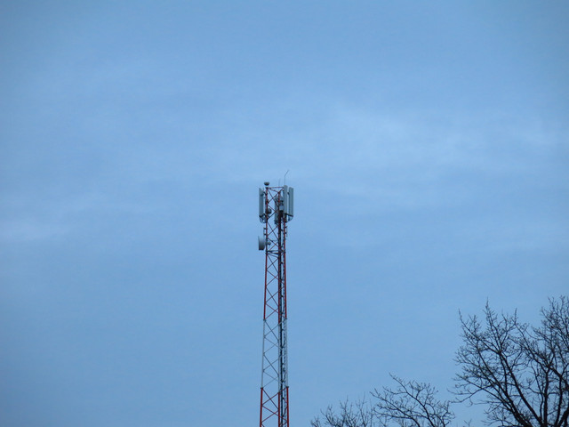 IMG-1362