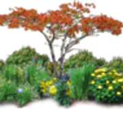 thGarden