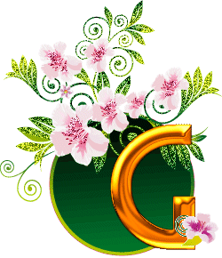 g.gif