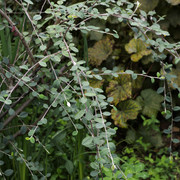 DSC7034