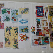 IMG-3497
