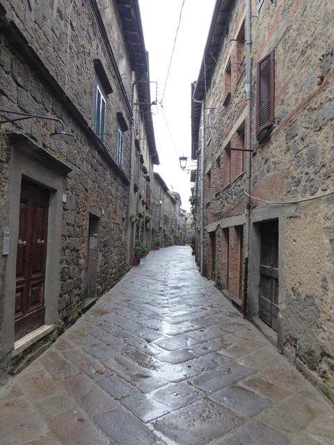 P1010521.jpg