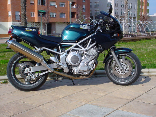 DSC00528.jpg