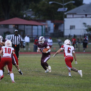 IMG-3113