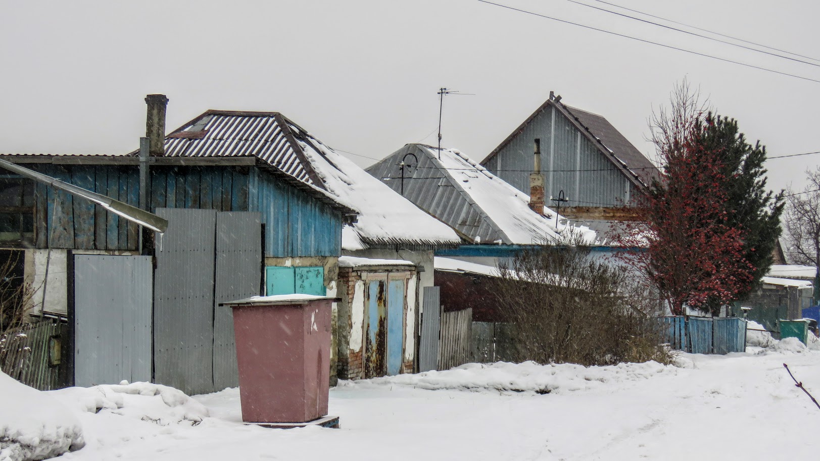36678895