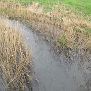 IMG-4080