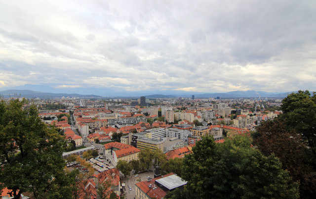 IMG-9957.jpg