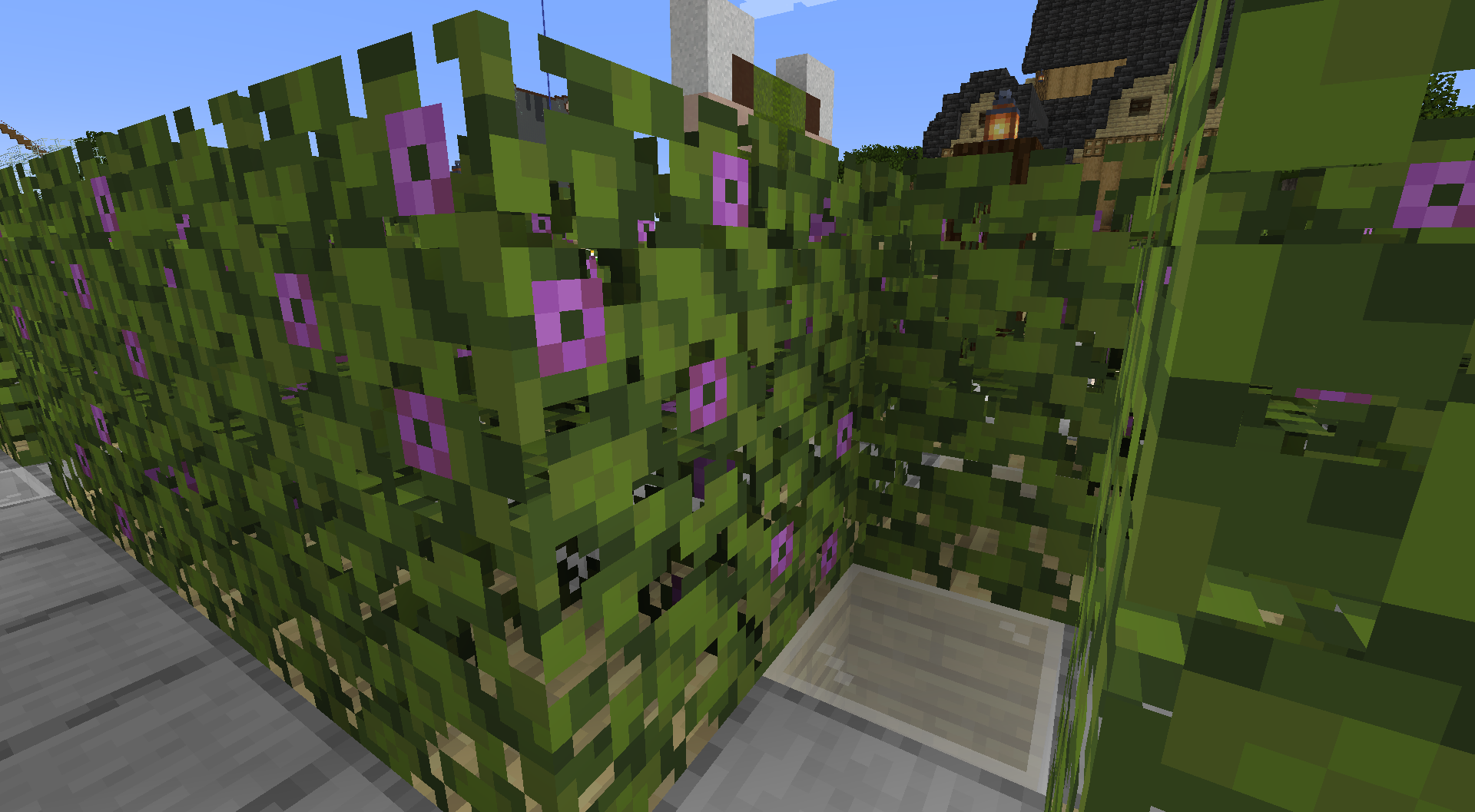 -=Frog Maze Build=-