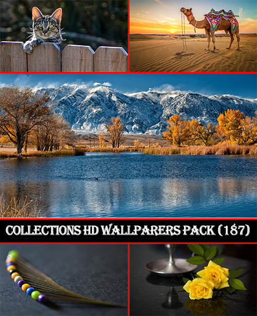 Collections HD Wallpapers Pack 187