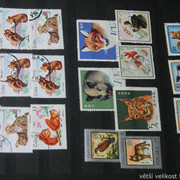 IMG-2078