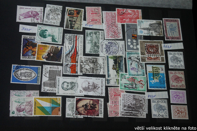 IMG-3446.jpg