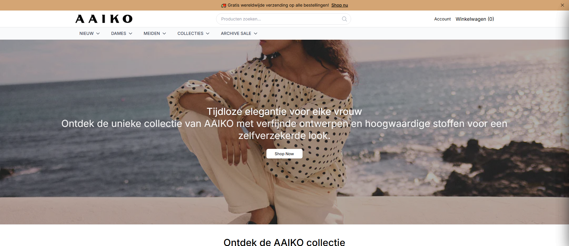 Stored capture of aaiko.shop