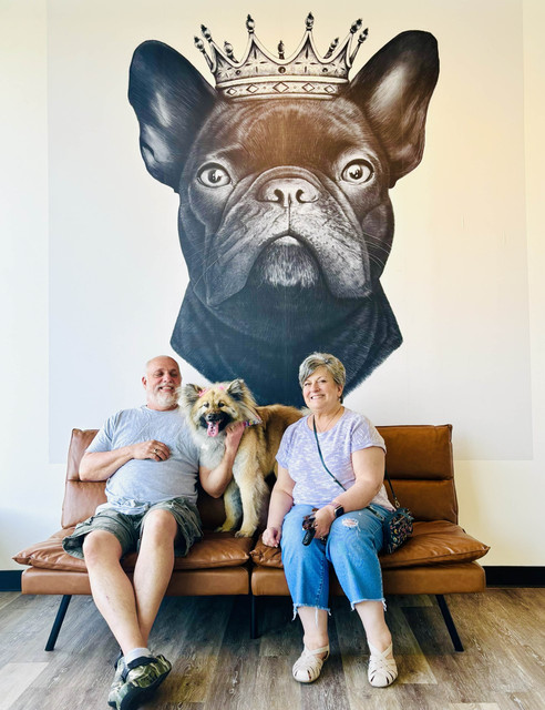 Archie Pet Care Spa Gallery