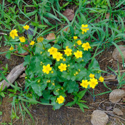 DSC03840