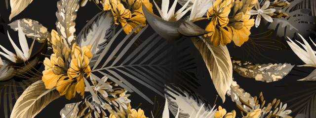 shutterstock 1439639006.gif