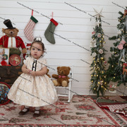 IMG 4265