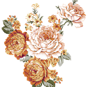 354c116c69dcad7b99ebc63d3afcaed0