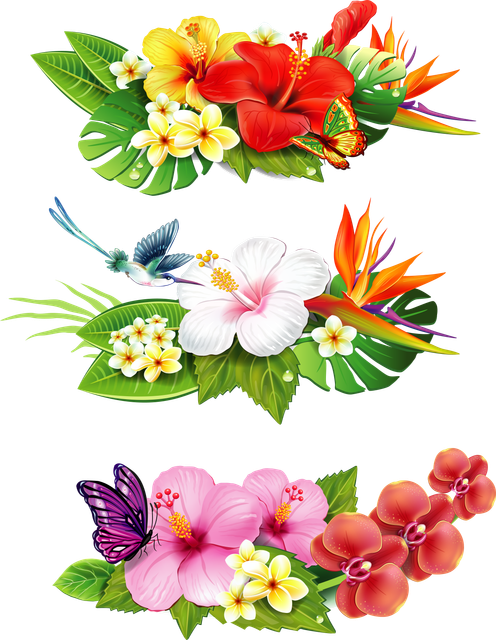 pngwing com (28).png