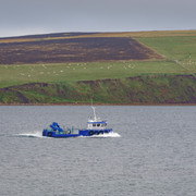 DSF8964-2