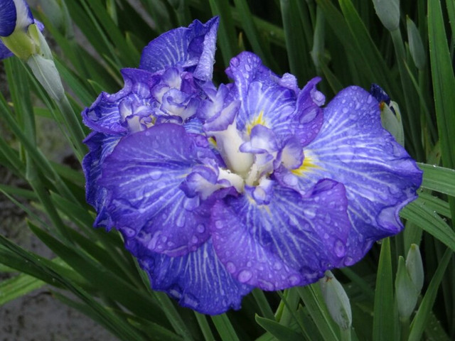 063