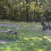 IMG 3185