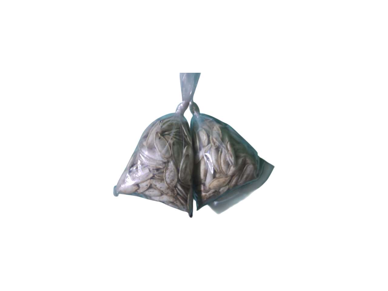 Botana