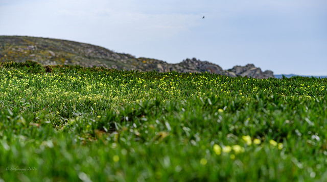 DSF6057.jpg